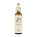FLOR Nº 1 AGRIMONY 20ML BACH
