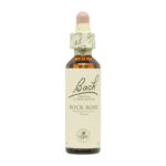 Flor nº 26 Rock subiu 20ml Bach