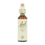 FLOR Nº 3 BEECH 20ML BACH