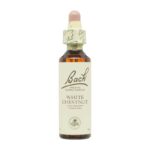 Flor nº 35 Castanha branca 20ml Bach