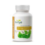Ginkgo Biloba 700mg 100 comprimidos Sotya
