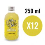 Kombucha Ginger and Lemon (Gingervida) Bio 12x250ml Komvida