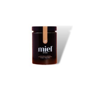 Encina e Oak Honey 450g Honey of Leon