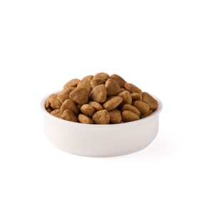Eu acho que vegan para cães adultos s/glúten bio 2kg yarrah
