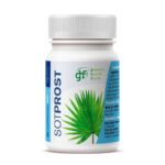 SOT Prost 600mg 80 GHF comprimidos