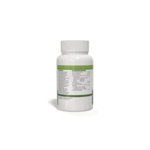 Aloe Digest Probiótico mastigável 1G 100 comprimidos Sotya