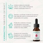 Canabidiol de óleo purificado CBD 10% 10ml Cannactiva