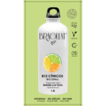 Solúvel Drid B12 Citricos 15x9g Bragulat