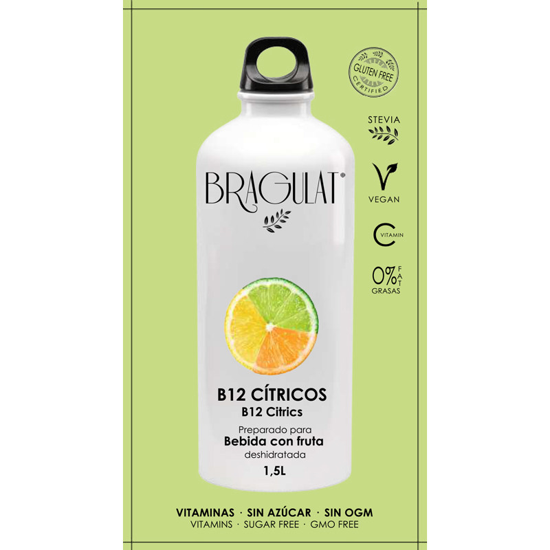 Solúvel Drid B12 Citricos 15x9g Bragulat