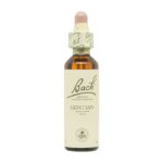 Flor nº 12 gentian 20ml bach
