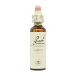 FLOR Nº 19 LARCH 20ML BACH