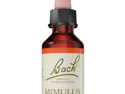 FLOR Nº 20 MIMULUS 20ML BACH
