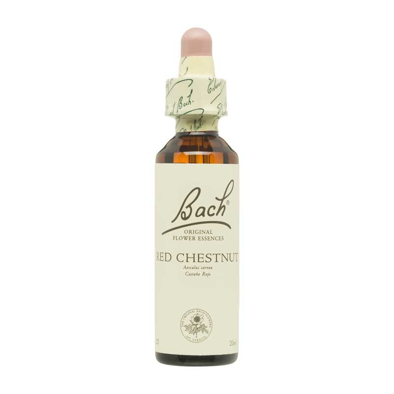 Flor nº 25 Castanha vermelha 20ml Bach
