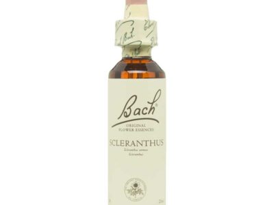 FLOR Nº 28 SCERRANTHUS 20ML BACH