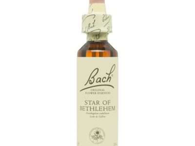 Flor Nº 29 Estrelas de Belém 20ml Bach