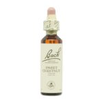 Flor No. 30 Castanha doce 20ml Bach