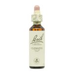 FLOR Nº 9 CLEMATIS 20ML BACH