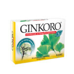 Ginkoro 90 comprimidos eladiet