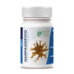 Harpagofito 500mg 100 GHF comprimidos