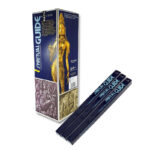 Incense Padmini Guia Espiritual 25x8 Sticks Nag Champa
