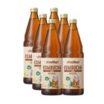 Kombucha BIO original 6x750ml Voelkel