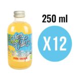 Kombucha Pineapple Bio 12x250ml Komvida