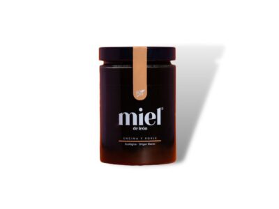 Encina e Oak Honey 450g Honey of Leon