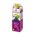 BIO Bíblia 1L Hollinger Juice