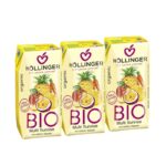 Suco multi -nascer (multifrutas) bio 3x200ml hollinger